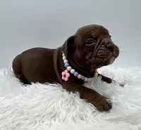 processed/31d45865-4805-4b65-971d-172c887a5699/listing/fbf67440-f9cf-48df-9723-44d23ea67c7f/4e921ee8-cd88-4ef0-8a05-46ae9ea5c17a