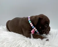 processed/31d45865-4805-4b65-971d-172c887a5699/listing/fbf67440-f9cf-48df-9723-44d23ea67c7f/7e886620-79a7-4928-8953-fdc807e939e7