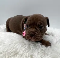 processed/31d45865-4805-4b65-971d-172c887a5699/listing/fbf67440-f9cf-48df-9723-44d23ea67c7f/c87bd71a-845d-4698-aa75-69c7f777e1a0