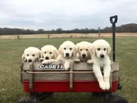 processed/31d78333-24f8-46f6-80cd-cd4bc5219499/facility/1c992318-16be-446f-9bc4-6bb9fcb5f240