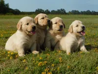 processed/31d78333-24f8-46f6-80cd-cd4bc5219499/facility/55550031-c6c4-4298-a153-c52f729359ea