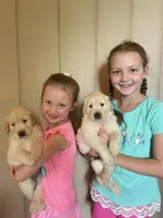 processed/31d78333-24f8-46f6-80cd-cd4bc5219499/facility/5cc5fb28-e491-4ba7-866a-13f3519aca67