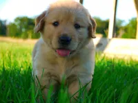 processed/31d78333-24f8-46f6-80cd-cd4bc5219499/facility/6edef582-bf0e-4178-b184-f5ff819ba741