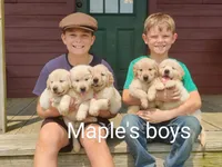 processed/31d78333-24f8-46f6-80cd-cd4bc5219499/facility/8b641be0-8a84-4031-96ea-f8cd7f6ebc10