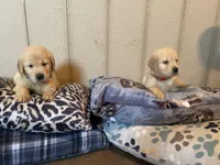 processed/31d78333-24f8-46f6-80cd-cd4bc5219499/facility/8f3298f3-3737-40bb-abeb-0c838d24ce5f