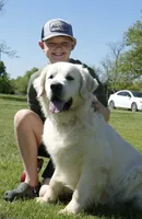 Baily, a female Golden Retriever for sale in Pickton, TX – Photo 8 of 10