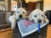 processed/31d78333-24f8-46f6-80cd-cd4bc5219499/listing/ef232f29-16bb-41f3-9581-a129c93470a8/239cd7ba-389f-44f8-894d-8301ef02b885