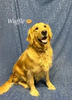 processed/31d78333-24f8-46f6-80cd-cd4bc5219499/listing/ef232f29-16bb-41f3-9581-a129c93470a8/50baea87-6dd2-4d0c-9c47-d36b3b84dbe1