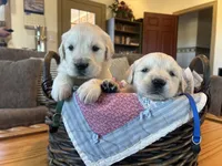 processed/31d78333-24f8-46f6-80cd-cd4bc5219499/listing/ef232f29-16bb-41f3-9581-a129c93470a8/50db68ec-c215-4d9e-8ff7-fb2617d2859a