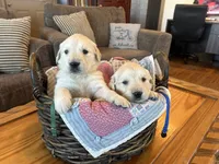 processed/31d78333-24f8-46f6-80cd-cd4bc5219499/listing/ef232f29-16bb-41f3-9581-a129c93470a8/a32934f2-7fa3-4dcf-9836-5ec6ca4a2783