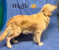 processed/31d78333-24f8-46f6-80cd-cd4bc5219499/listing/ef232f29-16bb-41f3-9581-a129c93470a8/c6d33a8a-c220-4975-9fc3-8fada20430a7