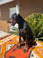 processed/31d98ded-814a-49bf-9e18-d90d493835f9/listing/ec4758b8-482e-412e-873c-fb39605a3622/10d2ca3f-8eac-4ee6-920d-3f65c1f61c95