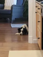 processed/31e5e6d4-fc80-4076-be75-5b679862fe8b/facility/bd8fd143-8986-451f-ba2a-bae0b710b526