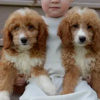 processed/31ea13d7-c8b5-4753-ae90-3ae15a147806/facility/093c134a-b257-4f37-981e-c48b2c405372