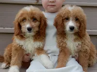 processed/31ea13d7-c8b5-4753-ae90-3ae15a147806/facility/093c134a-b257-4f37-981e-c48b2c405372