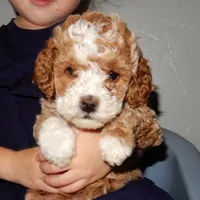 processed/31ea13d7-c8b5-4753-ae90-3ae15a147806/facility/59fc80d7-50b3-4315-abe3-1bff99e05714