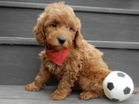 processed/31ea13d7-c8b5-4753-ae90-3ae15a147806/listing/524184b4-50be-4962-a1d3-079bae57f853/593108d7-9fdc-4036-bcf0-9a54c1a6c451