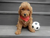 processed/31ea13d7-c8b5-4753-ae90-3ae15a147806/listing/524184b4-50be-4962-a1d3-079bae57f853/60ad79f5-13b5-4f06-a774-d16d973a1837