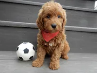 processed/31ea13d7-c8b5-4753-ae90-3ae15a147806/listing/524184b4-50be-4962-a1d3-079bae57f853/66944803-7984-46fc-82ef-31046dc37638