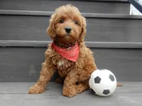 processed/31ea13d7-c8b5-4753-ae90-3ae15a147806/listing/524184b4-50be-4962-a1d3-079bae57f853/b07c76c1-5e4b-49d3-bf3e-23349ee5a2a8