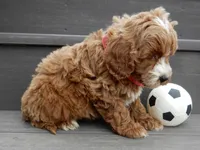 processed/31ea13d7-c8b5-4753-ae90-3ae15a147806/listing/6ec2c71c-77f4-49c8-8deb-026579191b49/70e524f8-2557-44a0-9809-b2cd1cbc32c4