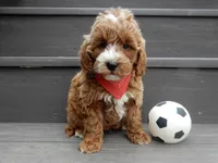 processed/31ea13d7-c8b5-4753-ae90-3ae15a147806/listing/6ec2c71c-77f4-49c8-8deb-026579191b49/a55b4c57-dda1-43c8-8c2d-a70e555edf50