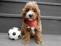 processed/31ea13d7-c8b5-4753-ae90-3ae15a147806/listing/6ec2c71c-77f4-49c8-8deb-026579191b49/d35a359d-f634-414f-85ed-f038a40f5e6c