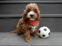 processed/31ea13d7-c8b5-4753-ae90-3ae15a147806/listing/6ec2c71c-77f4-49c8-8deb-026579191b49/f72ba1db-9c87-412b-a803-74a8a63ad514