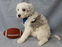 processed/31ea13d7-c8b5-4753-ae90-3ae15a147806/listing/b538ba6f-a0ed-4276-81eb-2b2951828d1d/26ffb246-6b46-44ae-a37a-cbae20647f9a