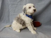 processed/31ea13d7-c8b5-4753-ae90-3ae15a147806/listing/b538ba6f-a0ed-4276-81eb-2b2951828d1d/4caeebcb-f03f-4b57-b713-f74d0f7bb83a