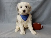 processed/31ea13d7-c8b5-4753-ae90-3ae15a147806/listing/b538ba6f-a0ed-4276-81eb-2b2951828d1d/d8fb7853-caa6-4400-b4ce-85750464f928