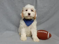 processed/31ea13d7-c8b5-4753-ae90-3ae15a147806/listing/d18d582e-23a3-459e-9007-c5485d5c6271/418217fa-db07-484a-a090-57bacfc3ca05