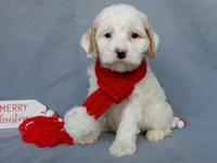 processed/31ea13d7-c8b5-4753-ae90-3ae15a147806/listing/d18d582e-23a3-459e-9007-c5485d5c6271/4f655077-5f75-4b79-97cc-68c88a0d0f5e