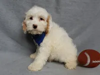 processed/31ea13d7-c8b5-4753-ae90-3ae15a147806/listing/d18d582e-23a3-459e-9007-c5485d5c6271/6e458345-928a-45ee-8fa9-d772533df866