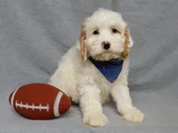 processed/31ea13d7-c8b5-4753-ae90-3ae15a147806/listing/d18d582e-23a3-459e-9007-c5485d5c6271/9708e9ed-e99b-45a9-a510-50581ee956b8