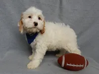 processed/31ea13d7-c8b5-4753-ae90-3ae15a147806/listing/d18d582e-23a3-459e-9007-c5485d5c6271/a223517d-24bf-4aa1-ac4f-5a59f85d7723