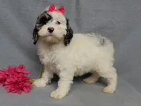 processed/31ea13d7-c8b5-4753-ae90-3ae15a147806/listing/f3ef571b-39fe-4642-9680-33ec05ad6ebe/0e813549-d06c-49b8-91e1-ca5114fbb185