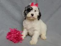 processed/31ea13d7-c8b5-4753-ae90-3ae15a147806/listing/f3ef571b-39fe-4642-9680-33ec05ad6ebe/700c7a32-7a86-4536-ae1a-a28a161e66c7