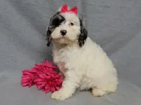 processed/31ea13d7-c8b5-4753-ae90-3ae15a147806/listing/f3ef571b-39fe-4642-9680-33ec05ad6ebe/ab23c0e7-0ea4-4c30-a3d6-ab54f70a7077