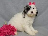 processed/31ea13d7-c8b5-4753-ae90-3ae15a147806/listing/f3ef571b-39fe-4642-9680-33ec05ad6ebe/cbecea0e-dc8b-4aef-974b-3fb0010051a0