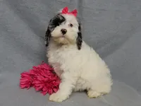 processed/31ea13d7-c8b5-4753-ae90-3ae15a147806/listing/f3ef571b-39fe-4642-9680-33ec05ad6ebe/df843e85-6be1-419f-a6d0-583ae2de1087