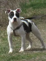 processed/31f37b89-3404-4fca-912e-260875587a0b/facility/620cdd0d-7562-4483-9f6c-091403aedcda