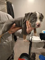 processed/31f37b89-3404-4fca-912e-260875587a0b/facility/952e745b-7899-407d-8117-c22cd4bd0910