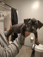 processed/31f37b89-3404-4fca-912e-260875587a0b/facility/9b478338-b3b1-4f45-959a-a3300a50439c