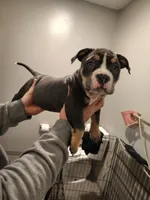 processed/31f37b89-3404-4fca-912e-260875587a0b/facility/e14e06eb-5e98-4bde-851c-2027be358932