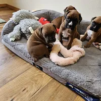 processed/31f43c1c-7dd0-4664-a5ab-077ee0ab60c8/facility/374ca9e1-6c3c-41aa-8d7a-836f9b2d82ec