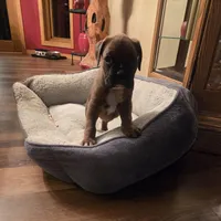 processed/31f43c1c-7dd0-4664-a5ab-077ee0ab60c8/facility/445f038f-be26-4cec-8e62-0ab3ed2ff60f