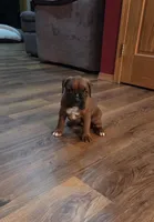 processed/31f43c1c-7dd0-4664-a5ab-077ee0ab60c8/facility/7f17ef99-f0fc-4bac-a42a-b85b8bb070fc