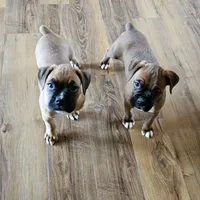 processed/31f43c1c-7dd0-4664-a5ab-077ee0ab60c8/facility/9beb48c4-695d-47e3-8193-e71f448d6b99