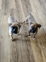 processed/31f43c1c-7dd0-4664-a5ab-077ee0ab60c8/facility/9beb48c4-695d-47e3-8193-e71f448d6b99